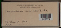 Image Associated With the Occurence